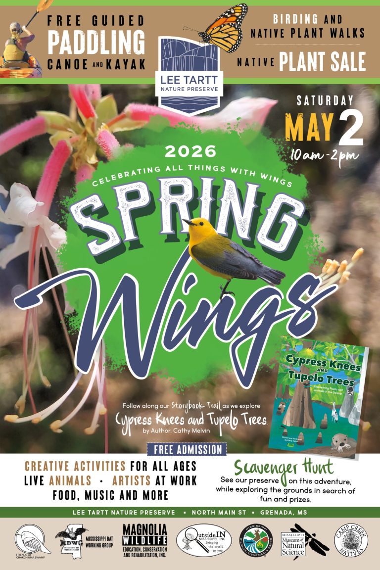 Spring Wings festival event Grenada Mississippi